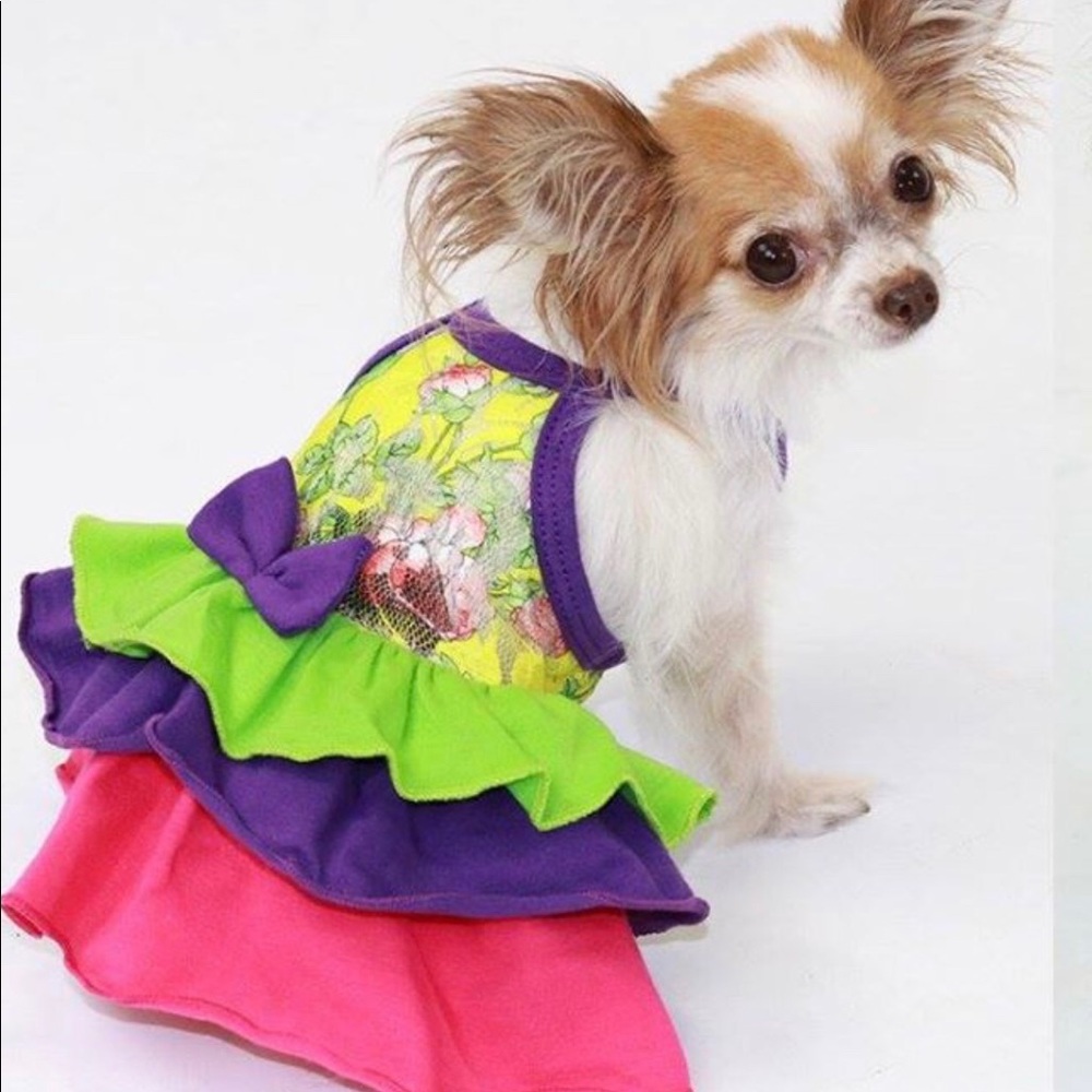 Cute small limited edition Dog dress Size Small